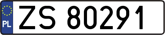 ZS80291