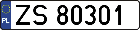 ZS80301