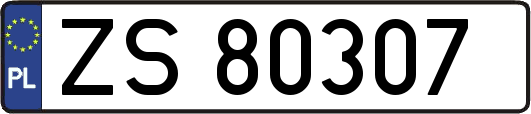 ZS80307