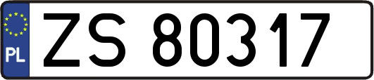ZS80317