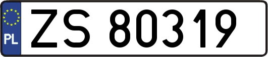 ZS80319