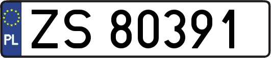 ZS80391
