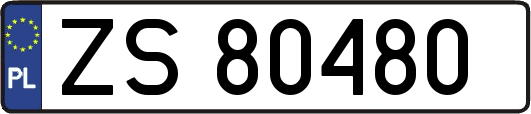 ZS80480