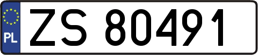 ZS80491