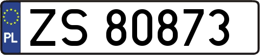 ZS80873
