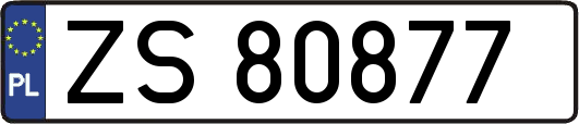 ZS80877