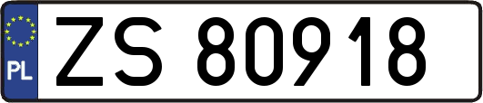ZS80918