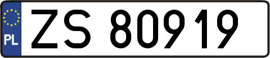 ZS80919