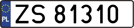 ZS81310