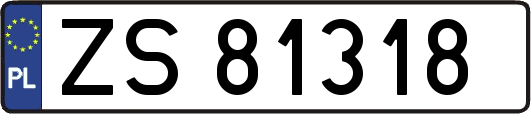 ZS81318