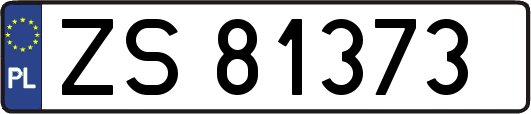 ZS81373