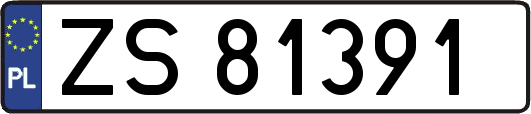 ZS81391