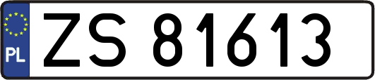 ZS81613