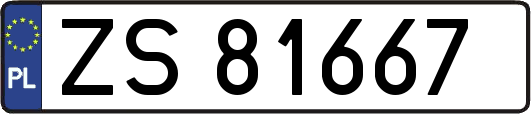 ZS81667