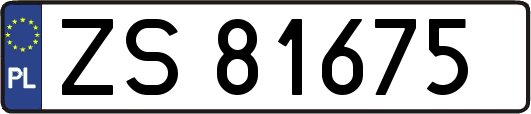 ZS81675