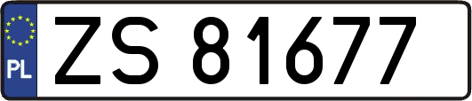 ZS81677