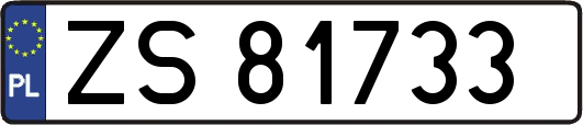 ZS81733