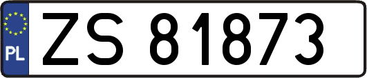 ZS81873