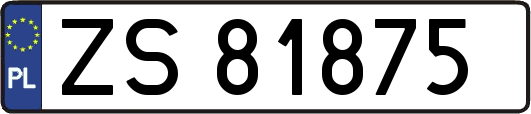 ZS81875