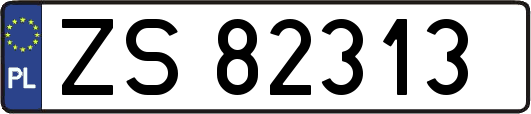 ZS82313