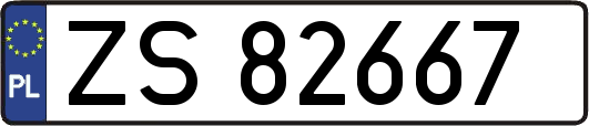 ZS82667