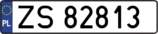 ZS82813