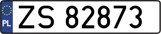 ZS82873
