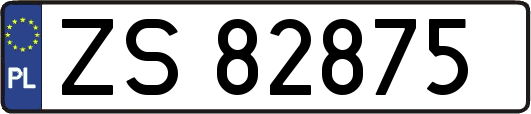 ZS82875