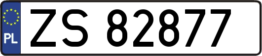 ZS82877