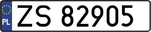 ZS82905