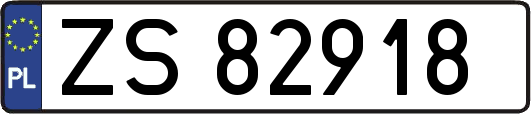 ZS82918