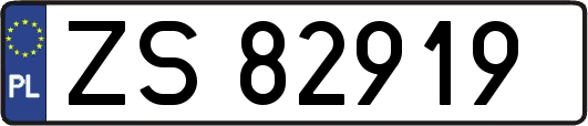 ZS82919