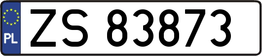 ZS83873