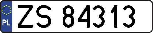 ZS84313