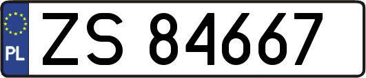 ZS84667