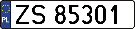 ZS85301