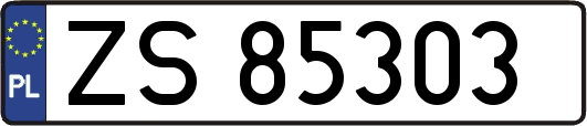 ZS85303