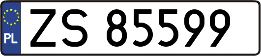 ZS85599