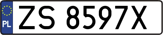 ZS8597X