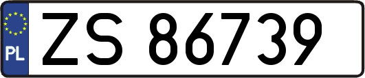 ZS86739
