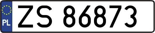 ZS86873