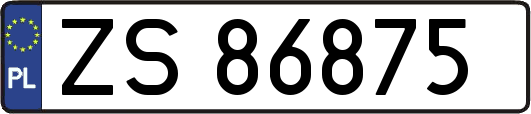 ZS86875