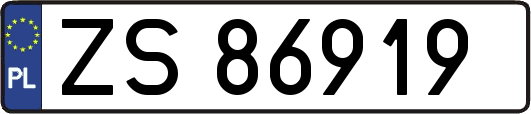 ZS86919