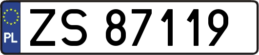 ZS87119