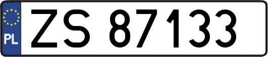 ZS87133
