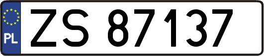 ZS87137