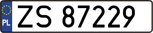 ZS87229