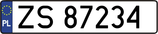 ZS87234
