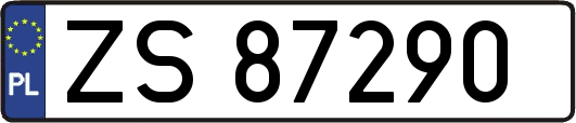 ZS87290