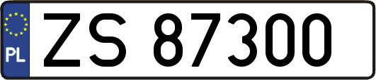 ZS87300